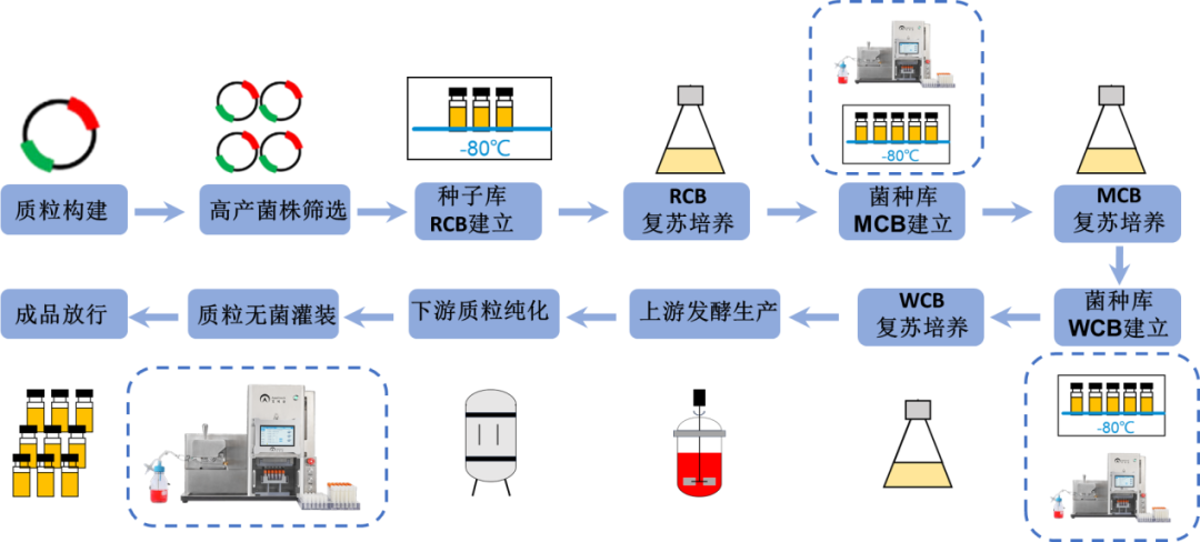 【收藏】細胞庫、菌株庫、質粒庫的自動化灌裝解決方案