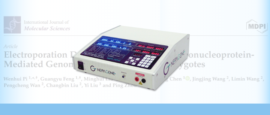 【重磅】電轉利器NEPA21，助力綿羊IVF受精卵基因組編輯