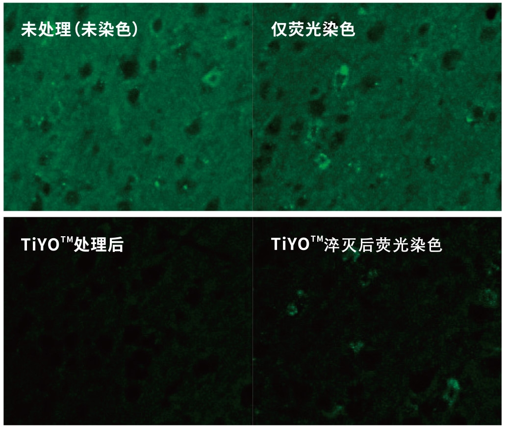 關(guān)于消除生物樣品自體熒光，您了解哪些？