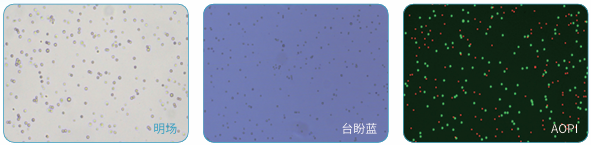 圖片.png